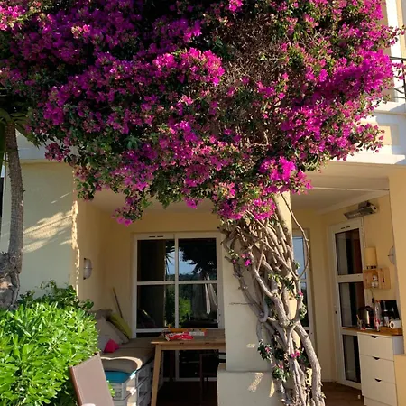Apartment French Days Cap Esterel Fh007 Jardin Privatif Et Cloture ,vue Mer,piscines , Parking Couvert,coup De Coeur *